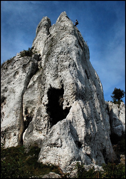 Lechwor