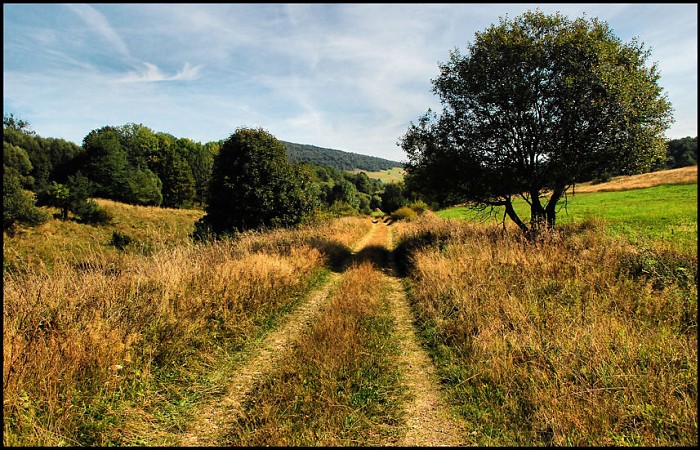 Beskid Niski x 1