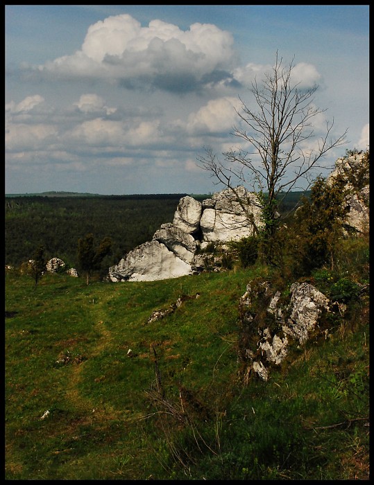 MIRÓW