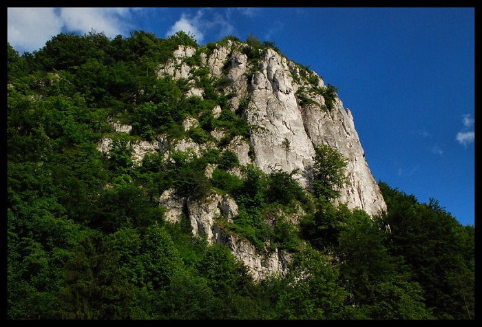Sokolica