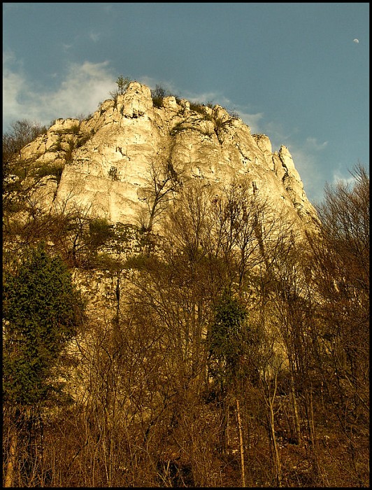 królowa