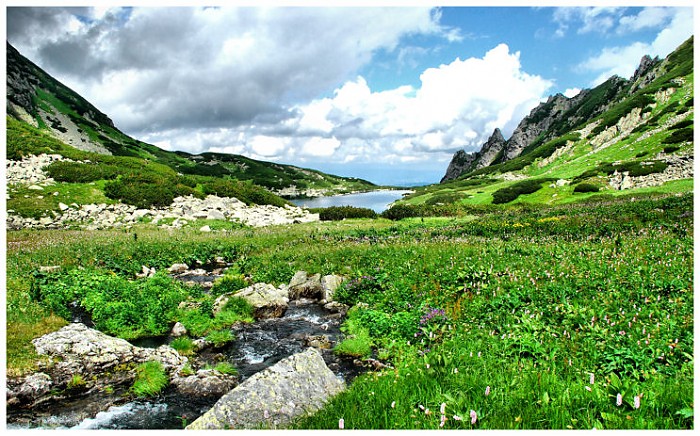 dolina żabich stawów białczańskich 